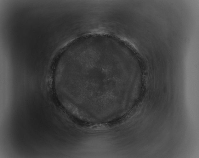 X0000100891159200807151051