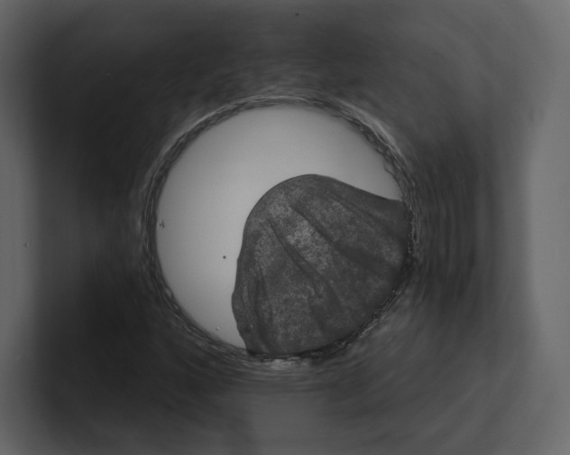 X0000100891160200807151051