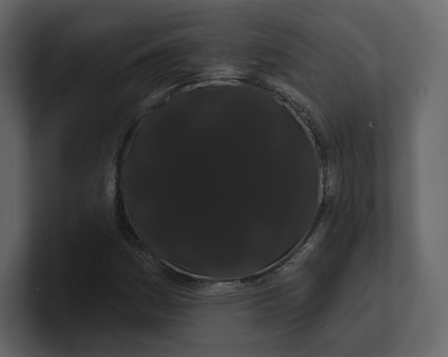 X0000100891161200807151051