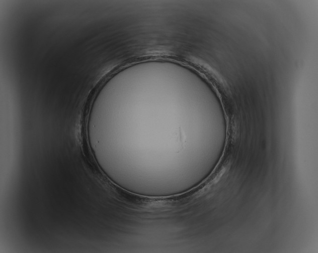 X0000100891162200807151051