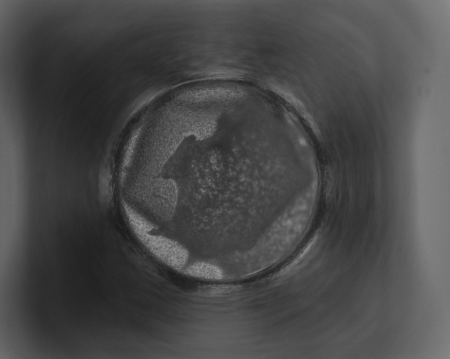 X0000100891163200807151051