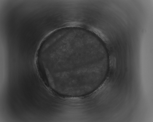 X0000100891164200807151051