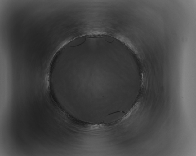 X0000100891165200807151051