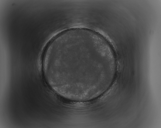 X0000100891167200807151051