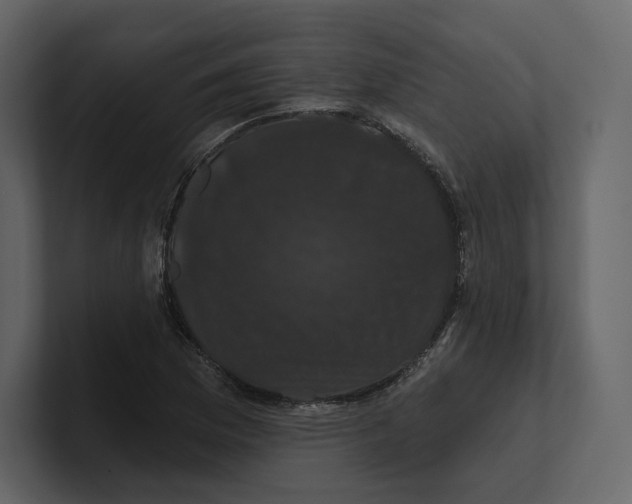 X0000100891169200807151051