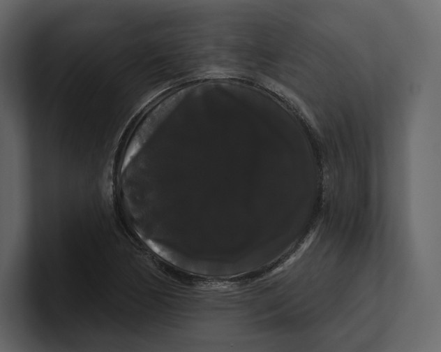 X0000100891170200807151051