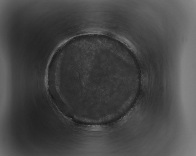 X0000100891172200807151051