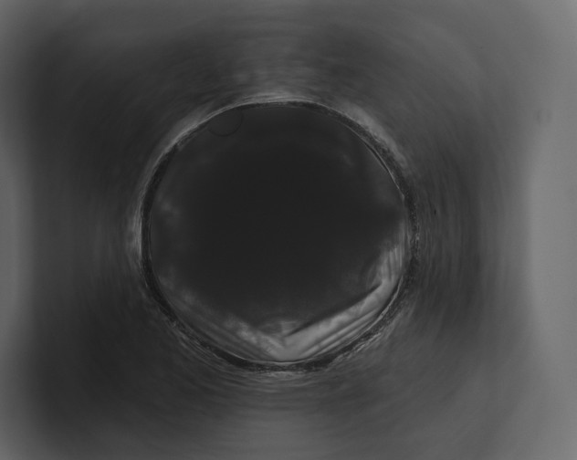 X0000100891173200807151051