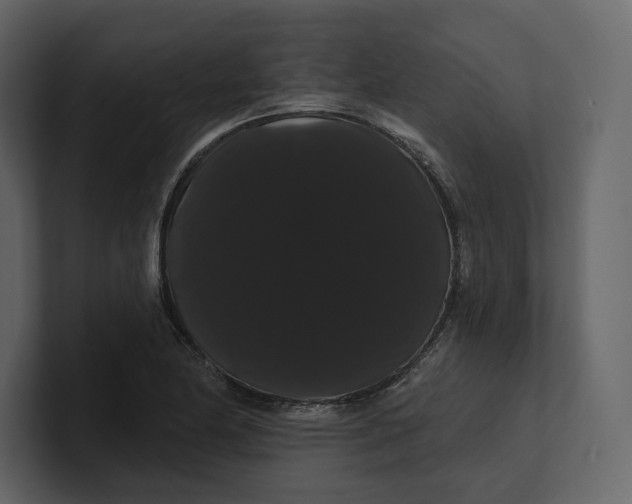 X0000100891174200807151051