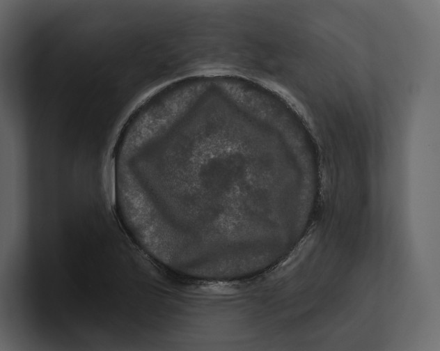 X0000100891175200807151051