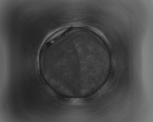 X0000100891176200807151051