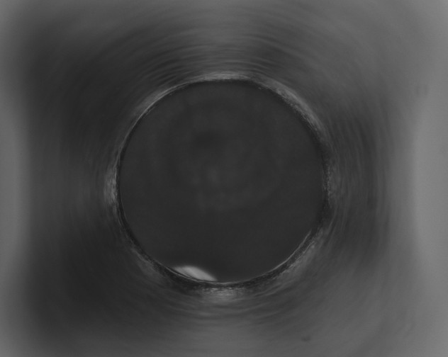 X0000100891177200807151051