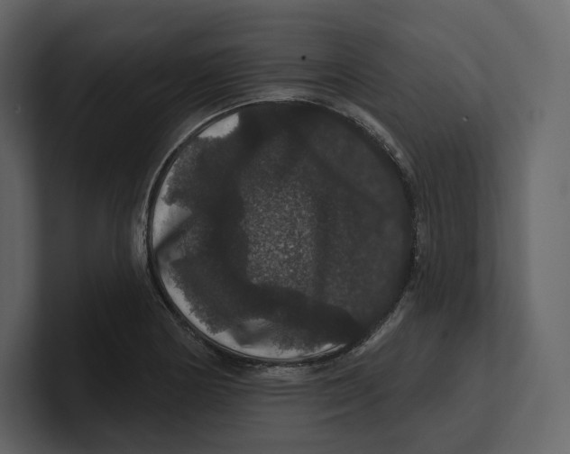 X0000100891178200807151051