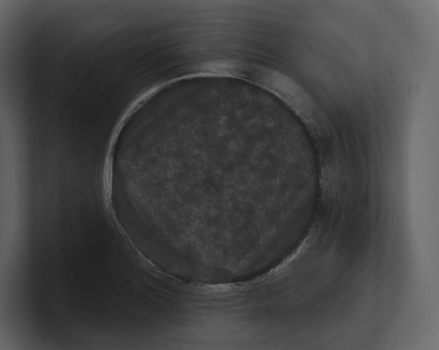 X0000100891180200807151051