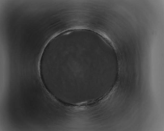 X0000100891181200807151051