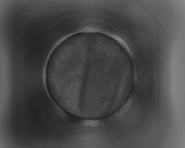 X0000100891183200807151051