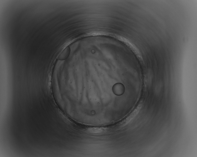 X0000100891185200807151051