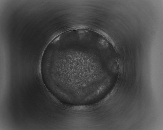 X0000100891186200807151051