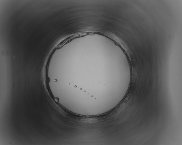 X0000100891187200807151051