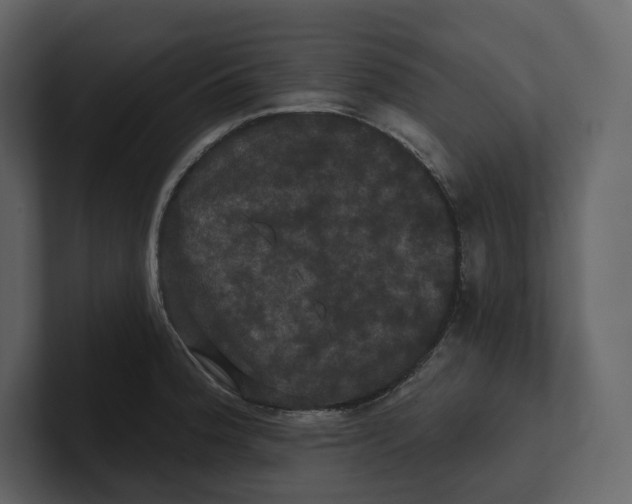 X0000100891188200807151051