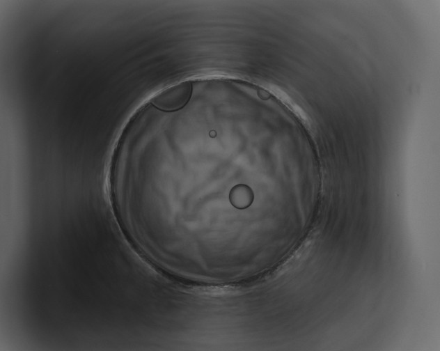 X0000100891189200807151051