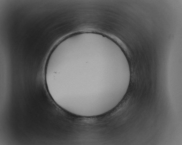 X0000100891191200807151051