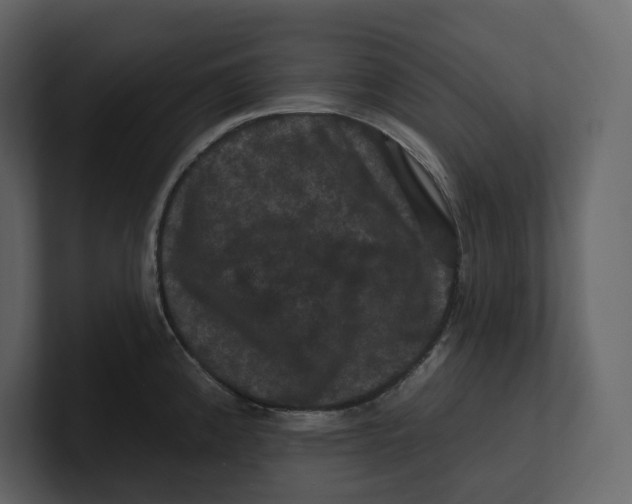 X0000100891192200807151051