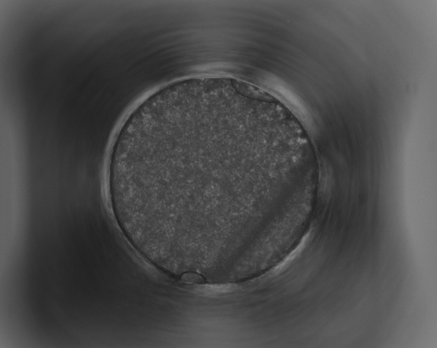 X0000100891196200807151051