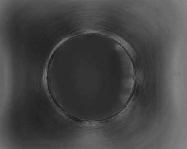 X0000100891198200807151051