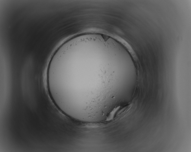 X0000100891199200807151051