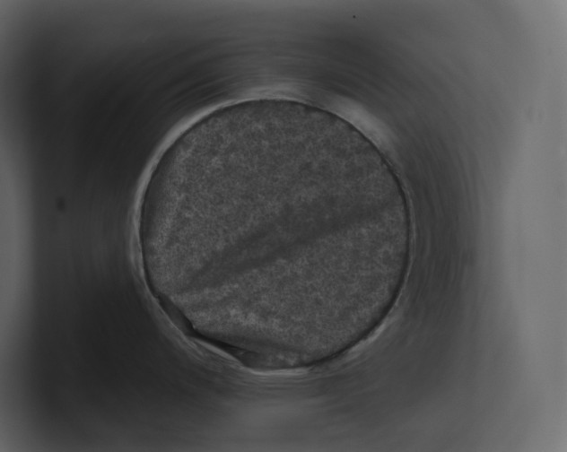 X0000100891200200807151050