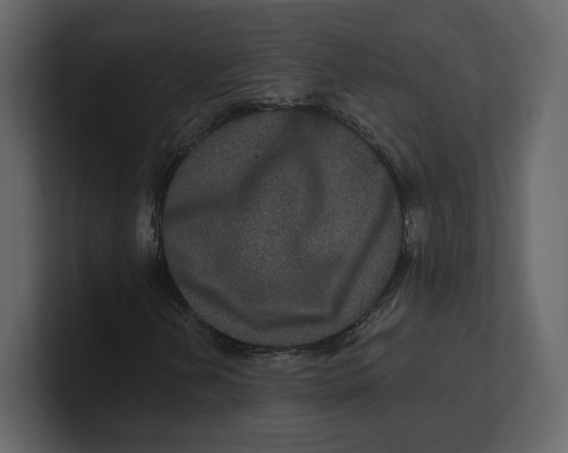 X0000100891202200807151050