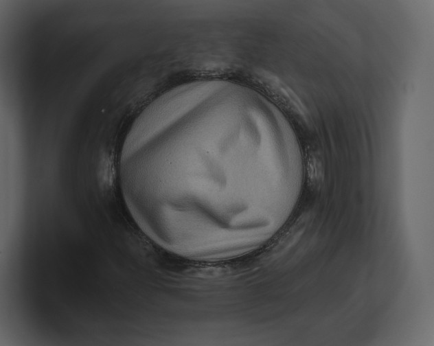 X0000100891204200807151050