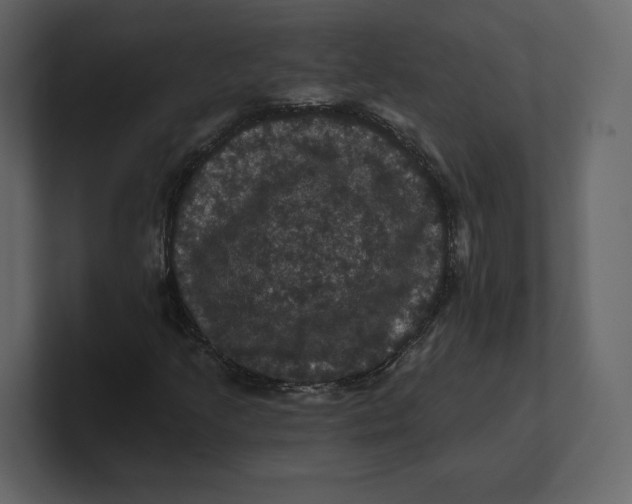 X0000100891205200807151050