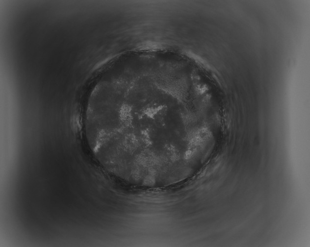 X0000100891206200807151050