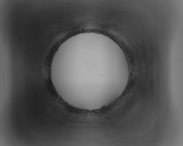 X0000100891207200807151050