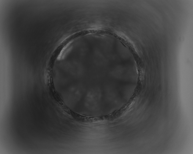 X0000100891208200807151050