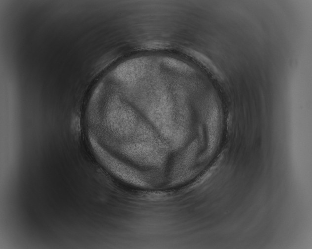 X0000100891209200807151050