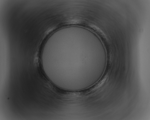 X0000100891210200807151050