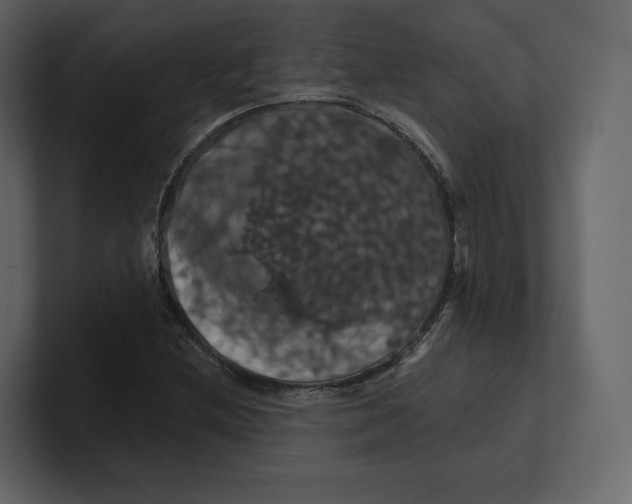 X0000100891212200807151050