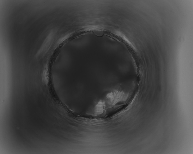 X0000100891213200807151050