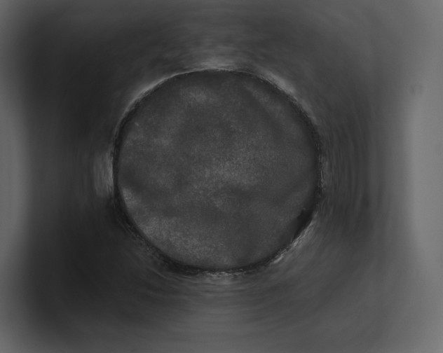 X0000100891214200807151050