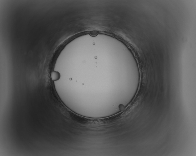 X0000100891215200807151050