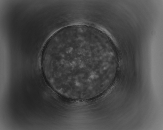 X0000100891216200807151050