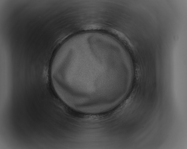 X0000100891217200807151050