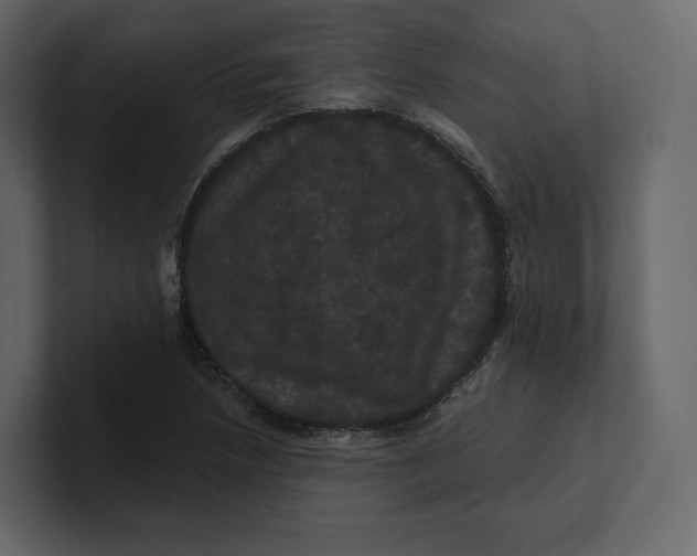 X0000100891218200807151050