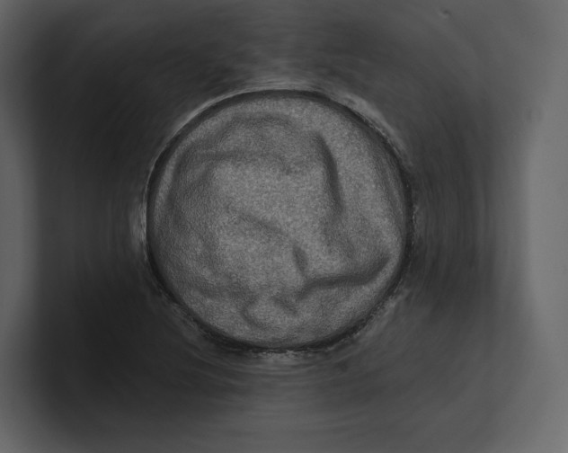 X0000100891220200807151050