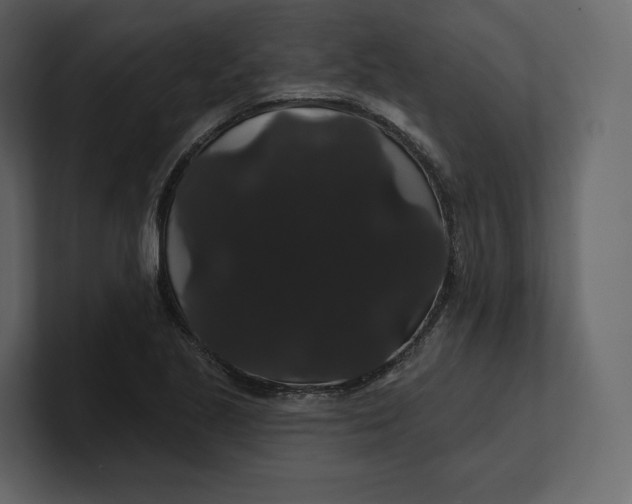 X0000100891221200807151050