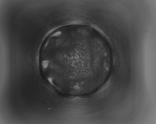 X0000100891222200807151050