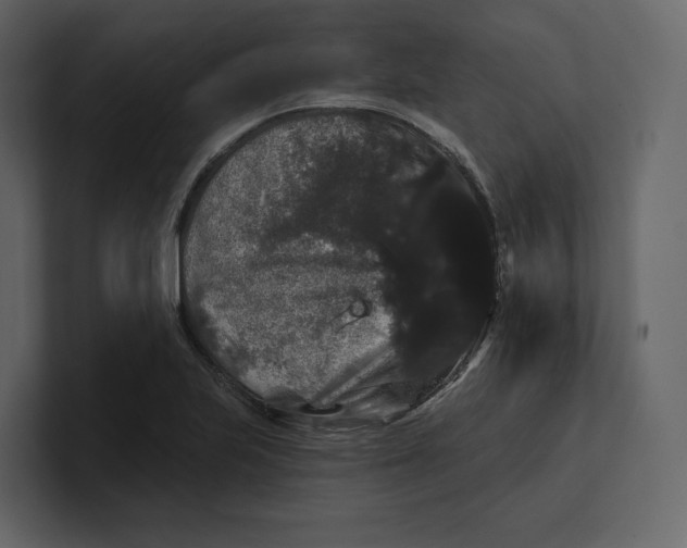 X0000100891223200807151050